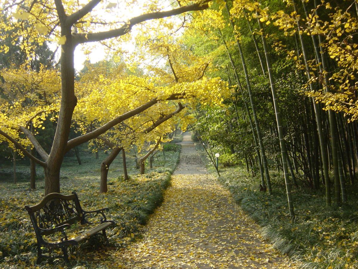 Wuxi Taihu Hotel Eksteriør bilde